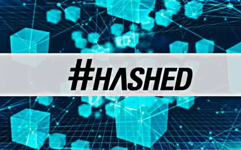 Quỹ đầu tư Hashed